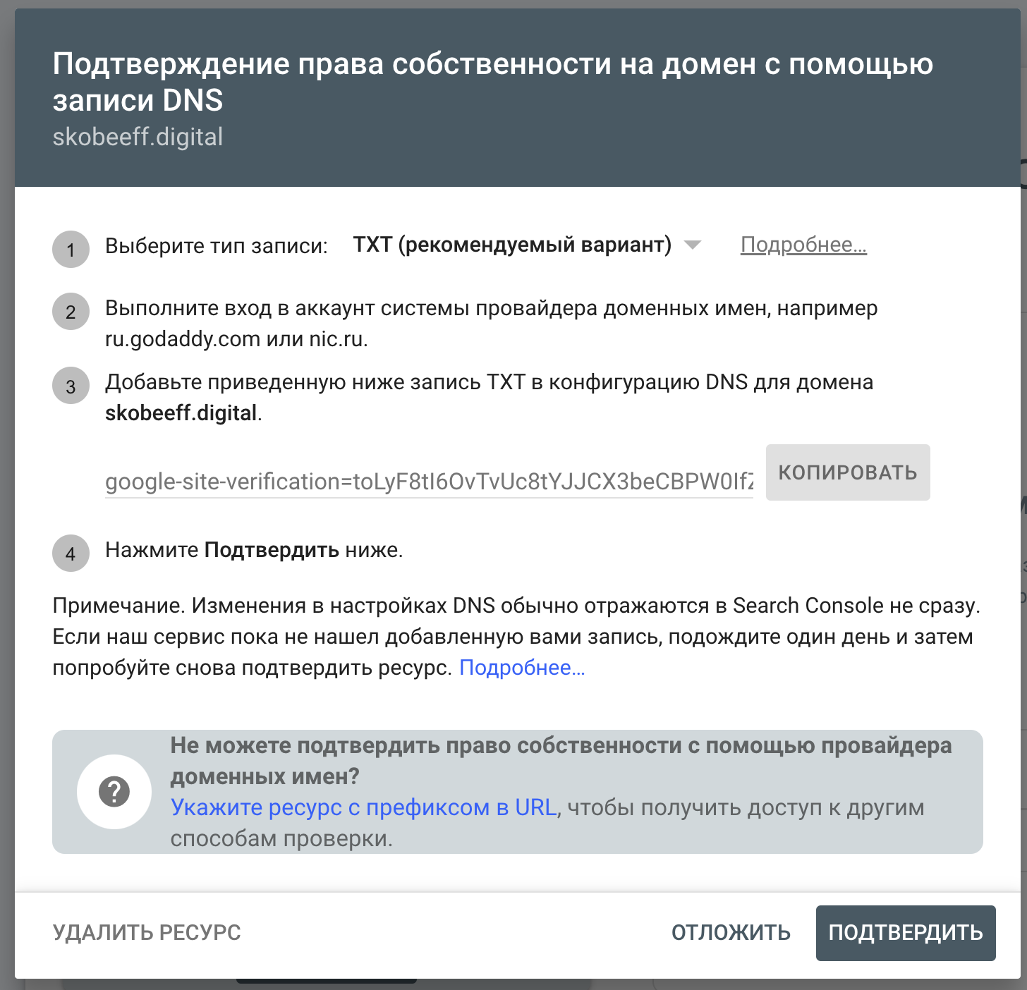 По умолчанию предлагается подтверждение через добавление TXT-записи в настройках домена
