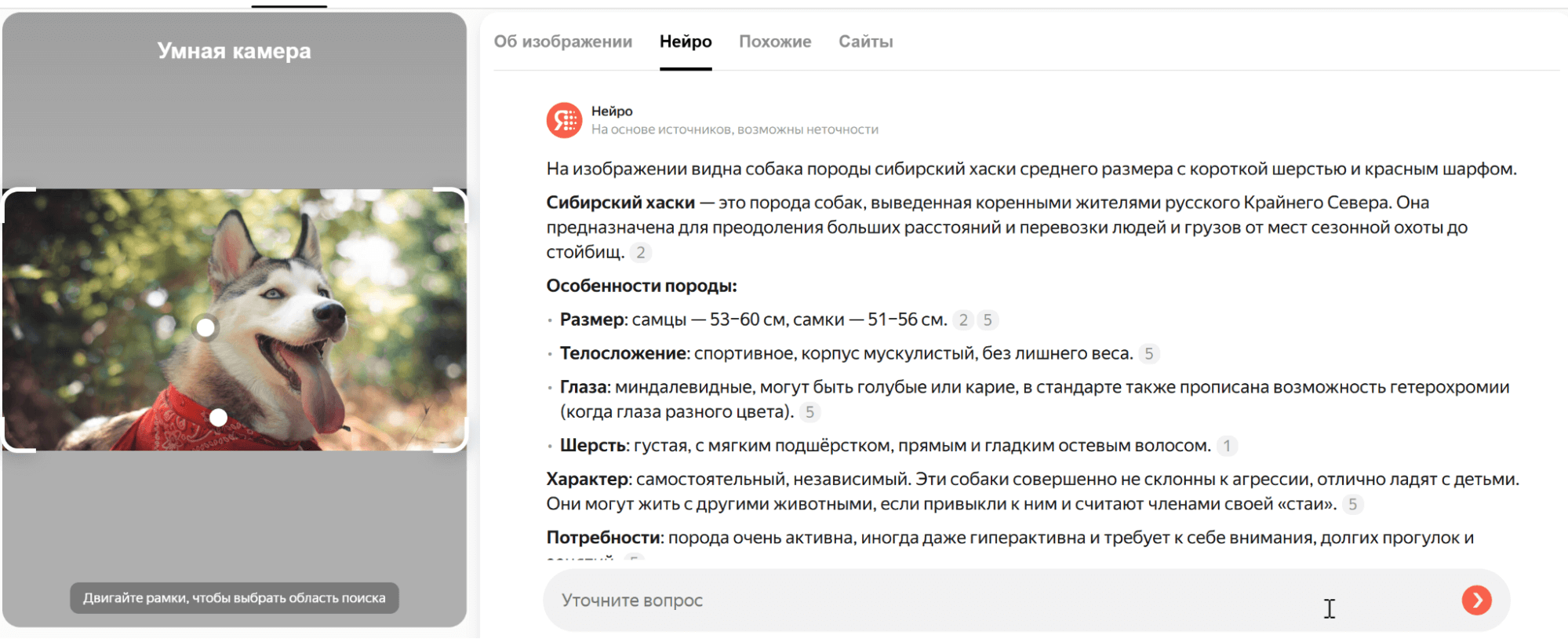Нейро выдает описание к загруженной картинке