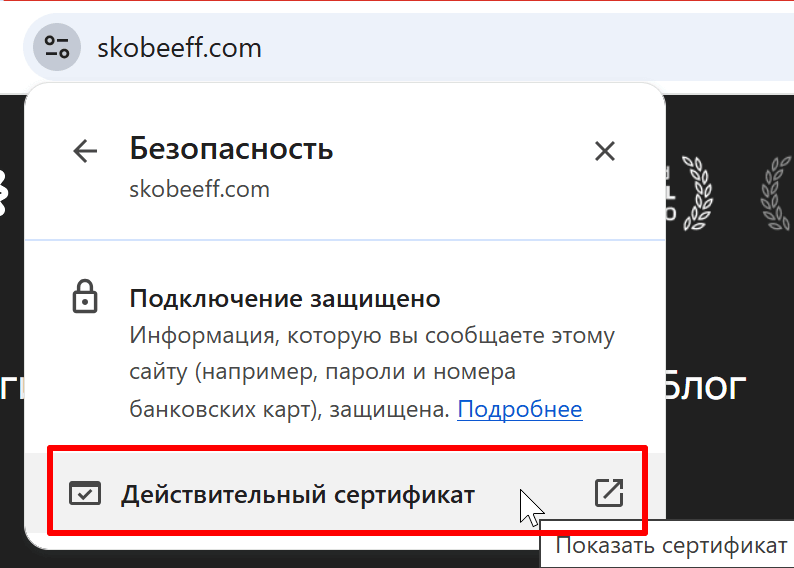 ssl сертификат пример2