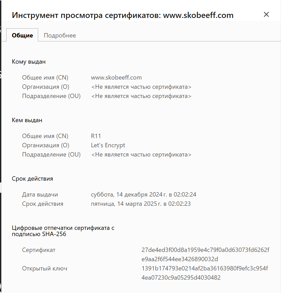 ssl сертификат пример3