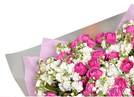 Рост трафика с 140 до 7 000 в месяц и x25 к продажам